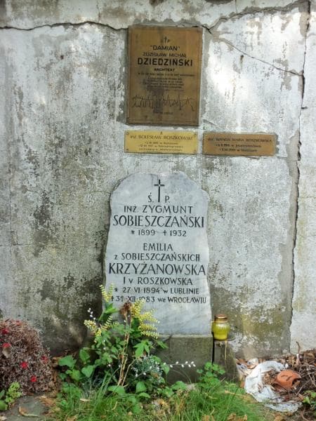Zdjęcie grobu Emilia Krzyżanowska (2)