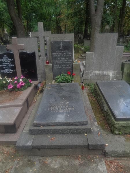 Zdjęcie grobu Janina Hulewicz (1)