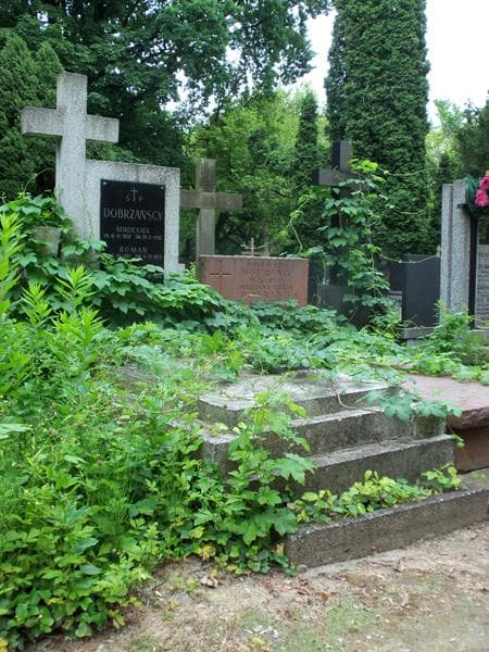 Zdjęcie grobu Krystyna Dobrzańska (1)