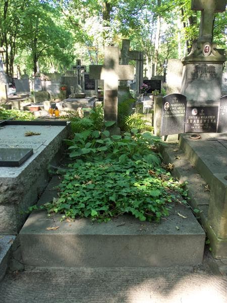 Zdjęcie grobu Julia Bromirska (1)