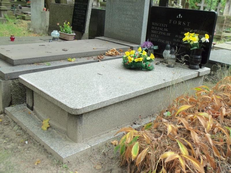 Zdjęcie grobu Anna Forst (1)