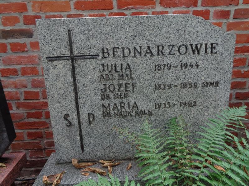 Zdjęcie grobu Maria Bednarz (2)