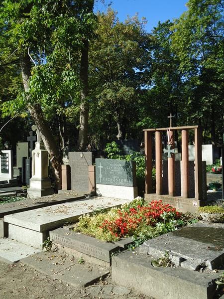 Zdjęcie grobu Władysława Drabikowska (1)