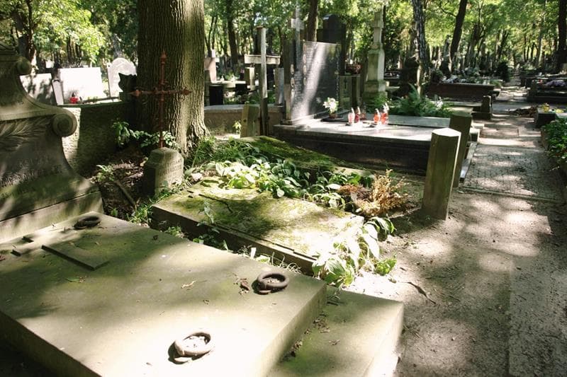 Zdjęcie grobu: Bronisława Popielarczyk