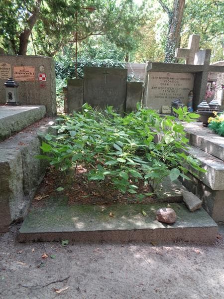 Zdjęcie grobu Eugeniusz Szelągowski (1)