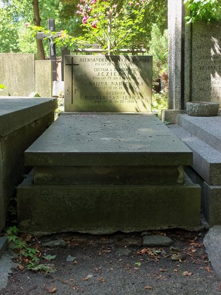 Zdjęcie grobu: Aleksander Wrzecionkowski