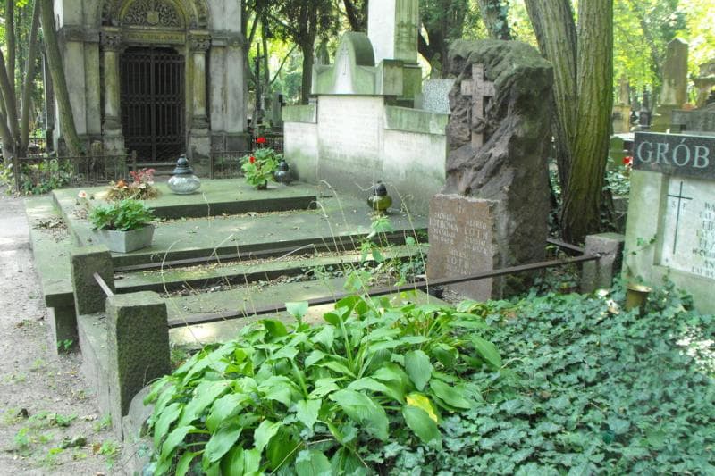 Zdjęcie grobu Alfred Loth (1)