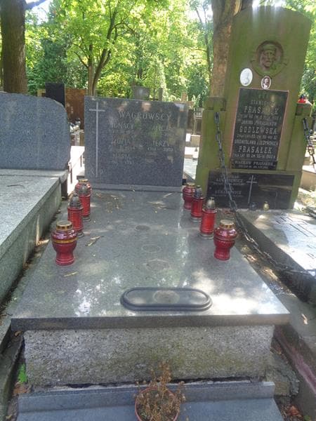 Zdjęcie grobu Ignacy Wągrowski (1)