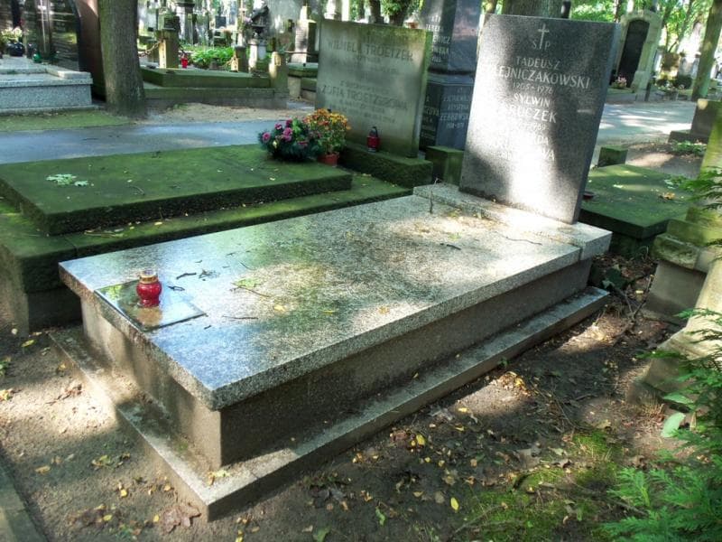 Zdjęcie grobu Tadeusz Olejniczakowski (1)