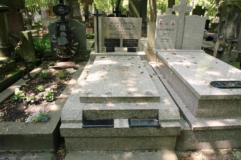 Zdjęcie grobu Tadeusz Górnicki (1)