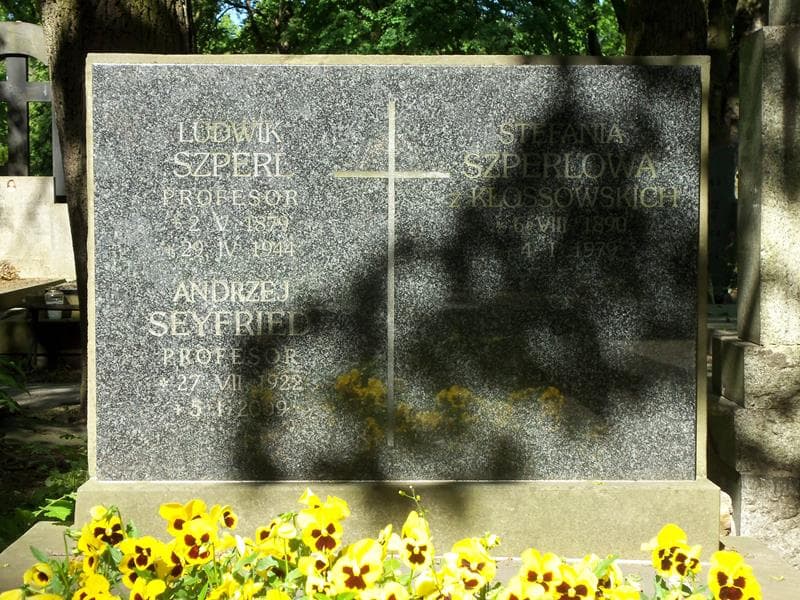 Zdjęcie grobu Andrzej Seyfried (2)
