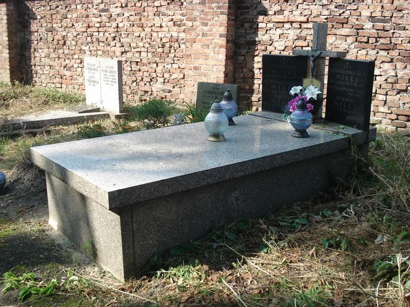 Zdjęcie grobu: Henryk Milej