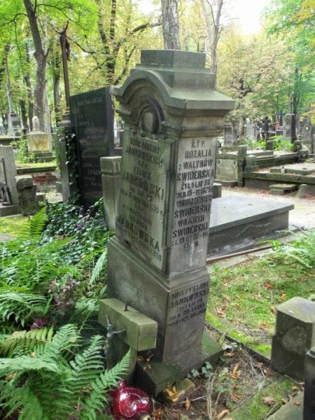 Zdjęcie grobu Feliks Jankowski (2)