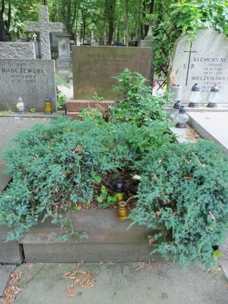 Zdjęcie grobu Witold Czarnowski (1)