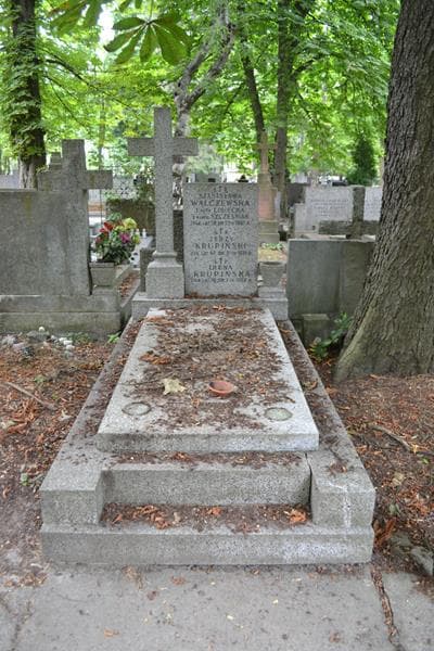 Zdjęcie grobu Stanisława Walczewska (1)