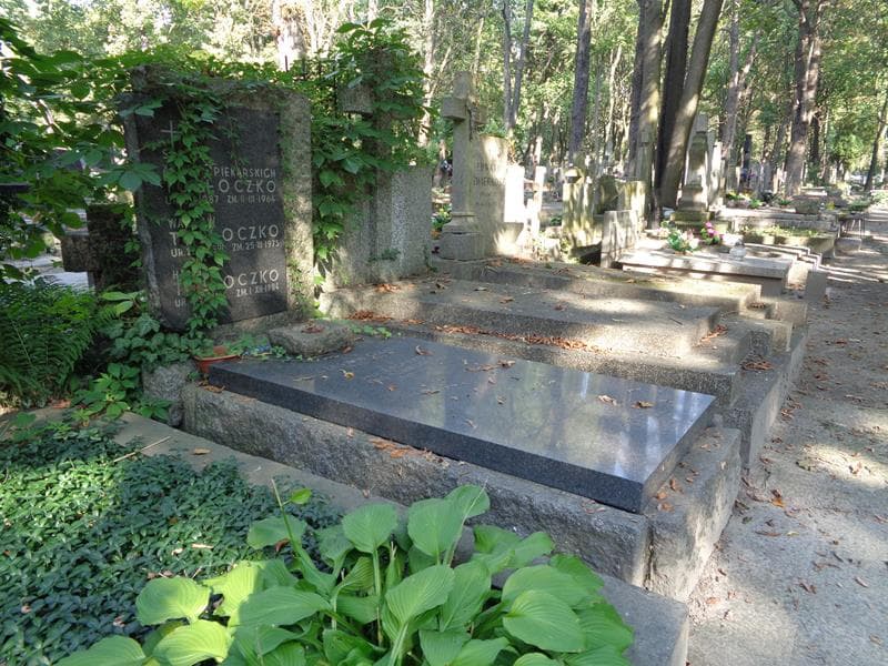 Zdjęcie grobu: Aniela Tołłoczko