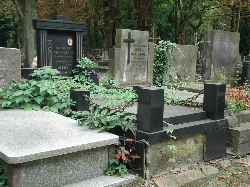 Zdjęcie grobu Bronisław Perłowski (1)