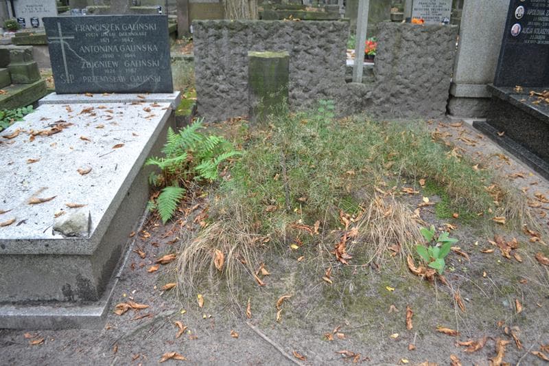Zdjęcie grobu Zofia Chrzanowska (1)