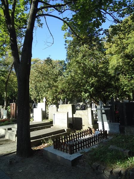 Zdjęcie grobu Włodzimierz Michalkiewicz (1)