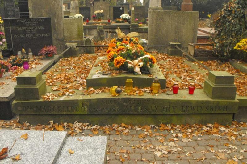 Zdjęcie grobu: Antonina Czerepak