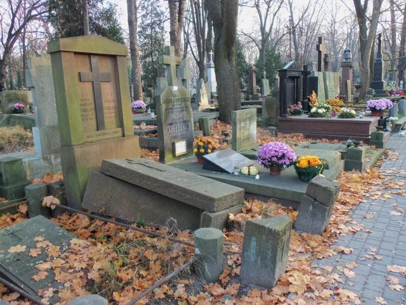 Zdjęcie grobu Marja Frenklowa (1)