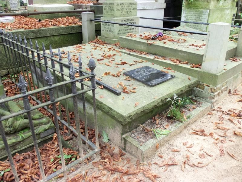 Zdjęcie grobu Anna Jezierska-Lewalt (1)