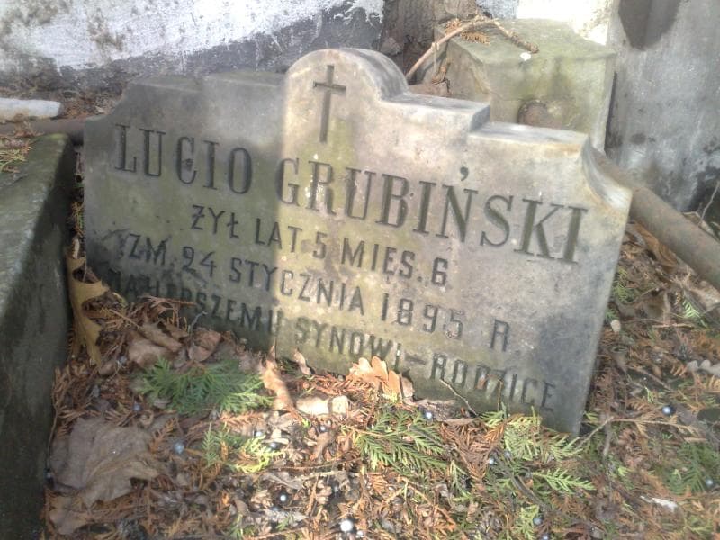 Zdjęcie grobu Mikołaj Seweryn Lachowicki - Czechowicz (2)