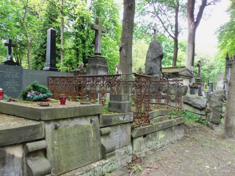 Zdjęcie grobu Józef Aleksander Junosza Szaniawski (1)