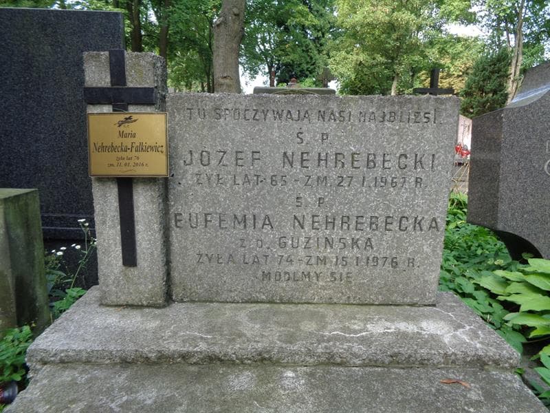 Zdjęcie grobu Maria Nehrebecka - Falkiewicz (2)