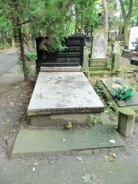 Zdjęcie grobu: Stanisław Brzeziński