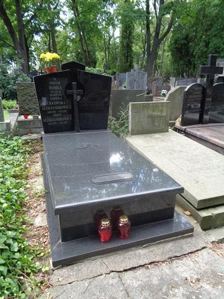 Zdjęcie grobu Józef Aleksandrowicz (1)