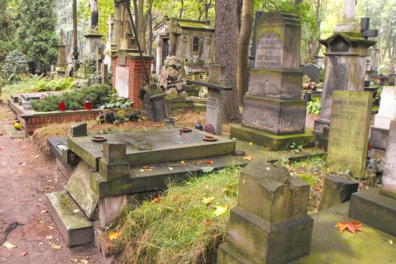 Zdjęcie grobu Józef Malinowski (1)