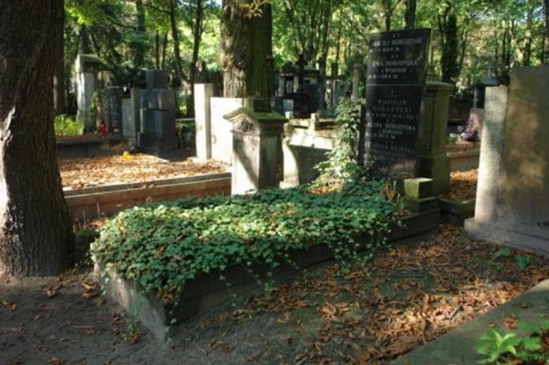 Zdjęcie grobu Władysław Horodyski (1)