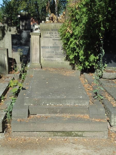 Zdjęcie grobu: Witold Norbert Tański