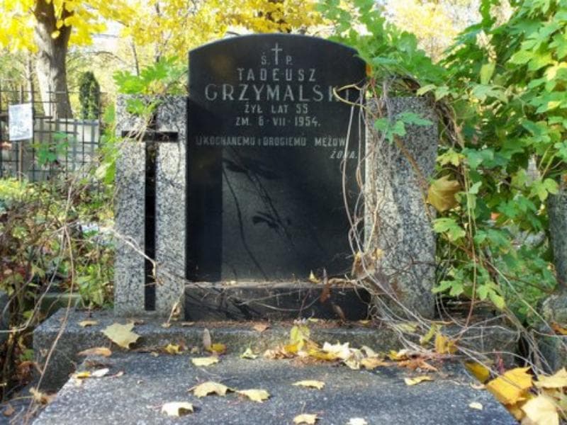 Zdjęcie grobu Tadeusz Grzymalski (2)