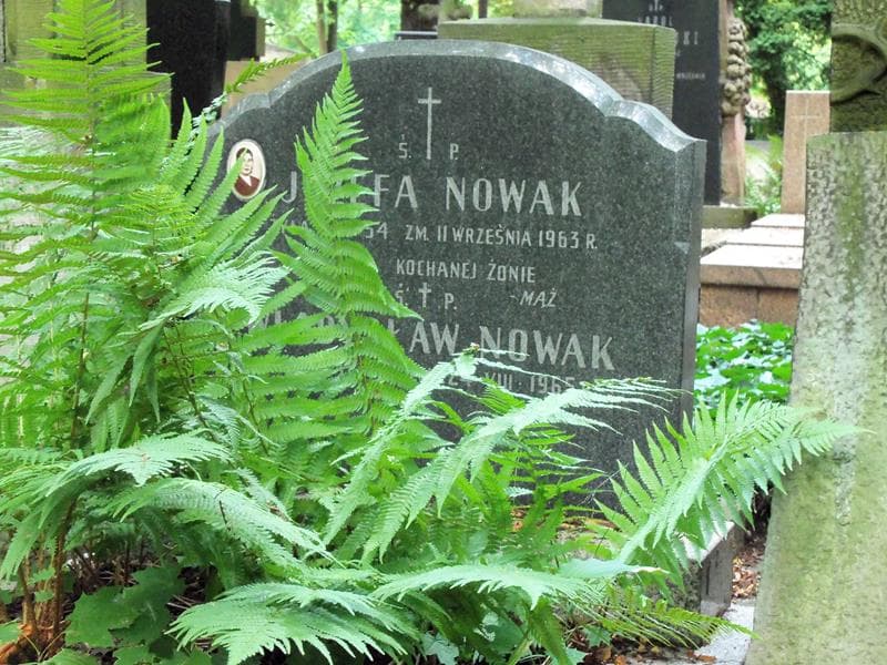 Zdjęcie grobu Władysław Nowak (2)