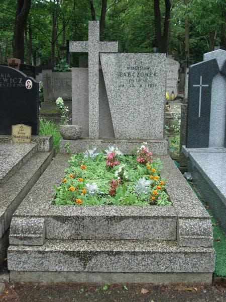 Zdjęcie grobu: Władysław Babczonek