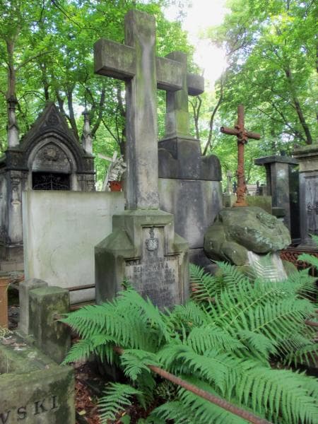 Zdjęcie grobu Ludwik Teodor Dembowski (1)