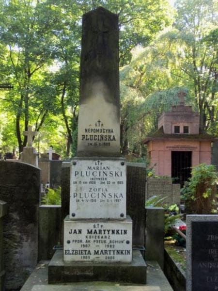 Zdjęcie grobu Nepomucyna Plucińska (2)