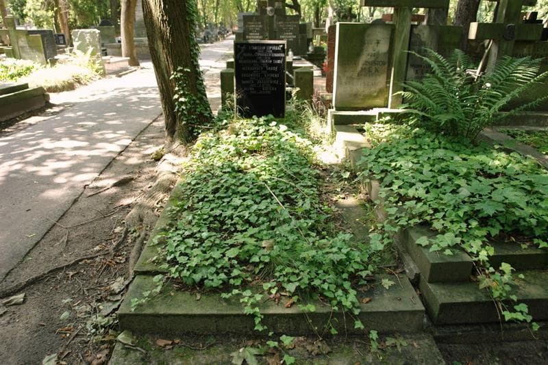 Zdjęcie grobu Danuta Jaśkiewicz (1)