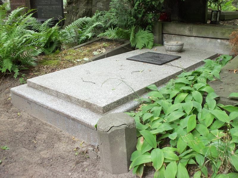 Zdjęcie grobu Henryk Niedźwiecki (2)