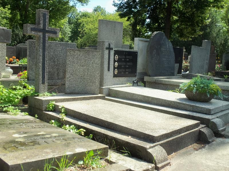 Zdjęcie grobu Jan Lelek (1)