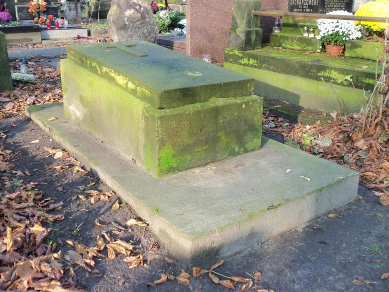 Zdjęcie grobu Władysław Lange (1)