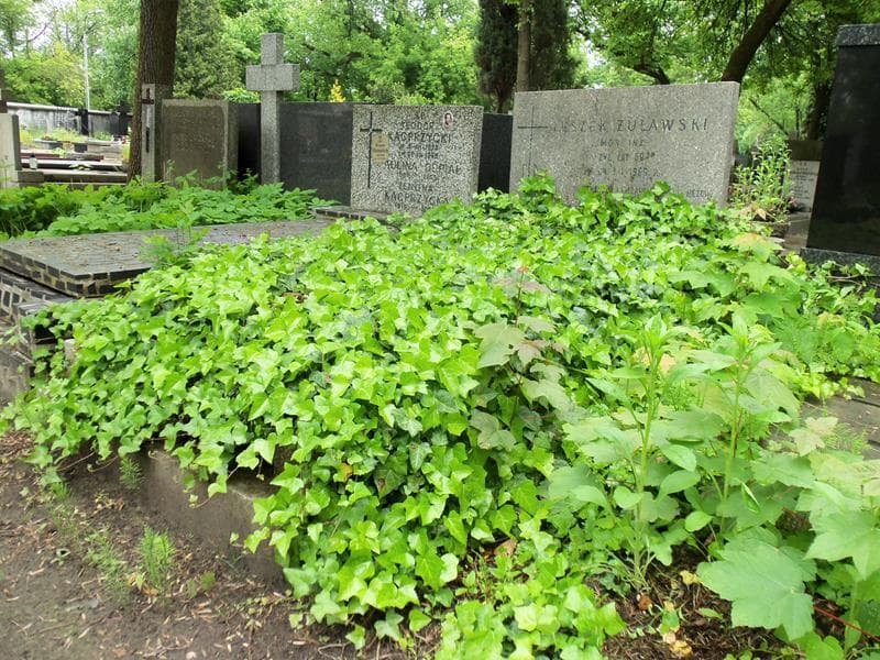 Zdjęcie grobu Leszek Żuławski (1)