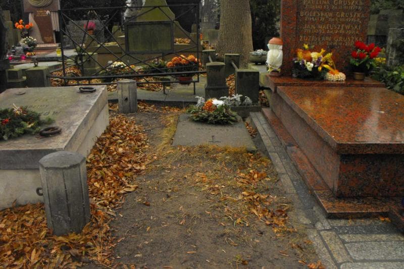 Zdjęcie grobu: Stanisław Niemczynowicz
