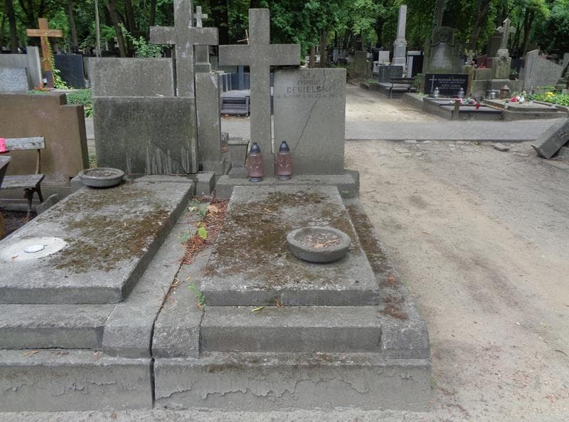 Zdjęcie grobu Zygmunt Cegielski (1)