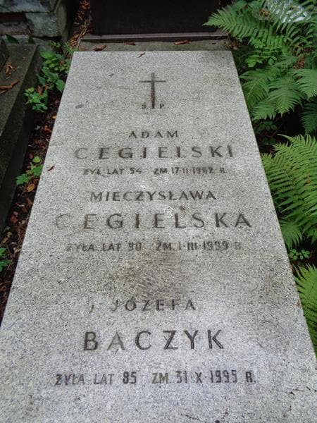 Zdjęcie grobu Mieczysława Cegielska (2)