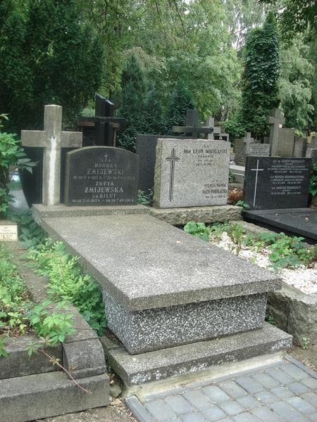 Zdjęcie grobu Bohdan Żmijewski (1)
