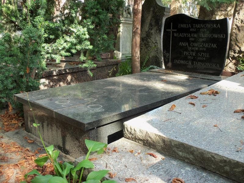 Zdjęcie grobu Władysław Tarnowski (1)