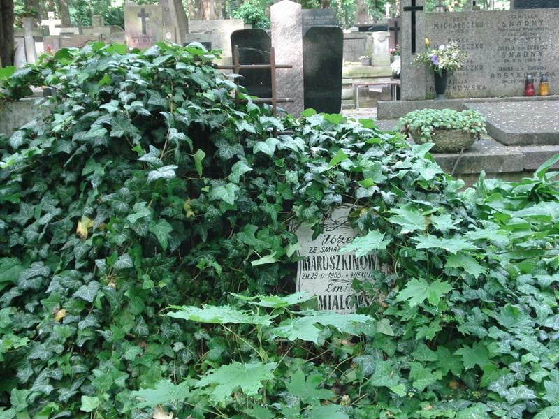 Zdjęcie grobu Józefa Maruszkinowa (1)